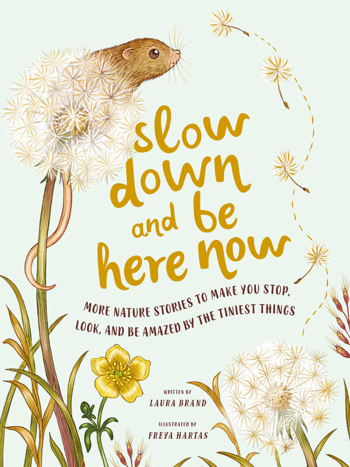 Cover image for Slow Down and Be Here Now